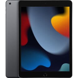 iPad 10.2" (2021) 256 GB WiFi (space gray)