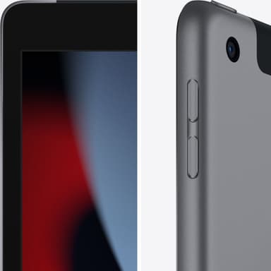 iPad 10.2" (2021) 256 GB 4G LTE (space gray)
