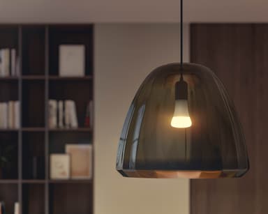 Philips Hue W 15.5W A67 E27 1st