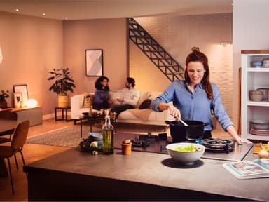 Philips Hue WA 8W A60 E27 Bridge-kit