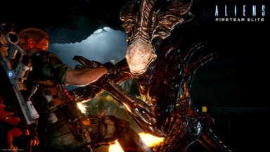 Aliens Fireteam Elite - PC Windows