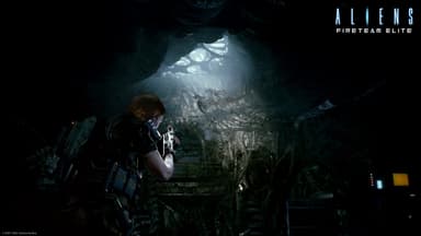 Aliens Fireteam Elite - PC Windows