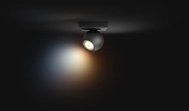 Philips Hue Buckram svart spotlight