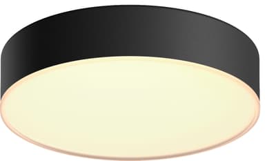 Philips Hue Enrave S svart taklampa