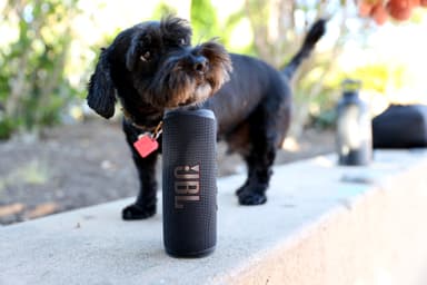 JBL Flip 6 portabel högtalare (svart)