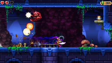 Shantae and the Pirate's Curse - PC Windows