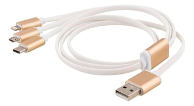 epzi Multi-Charger, USB-C, Lightning, Micro USB, USB-A, 1m, white