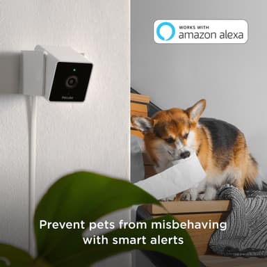 Petcube Cam