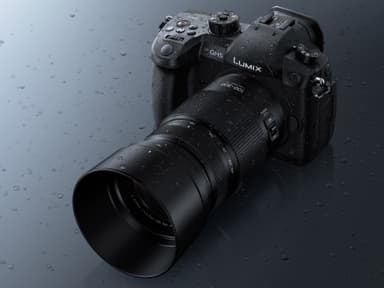 Panasonic Lumix G Vario 100-300 mm f/4-5.6 objektiv