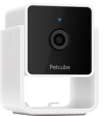 Petcube Cam