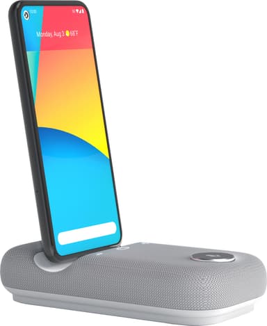 Rayz Rally Pro högtalartelefon med USB-C