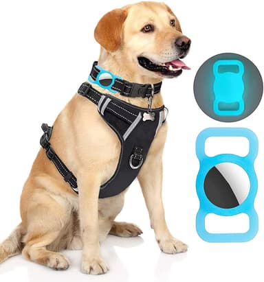 Apple AirTag hållare till katt/hundhalsband - Lyser i mörkret/blå