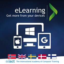 Online e-lärande för Windows, Apple & Google-system (12 mån)