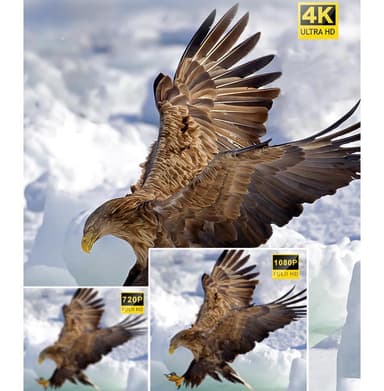 Videokamera 4K/48 megapixel/16x zoom/nattseende/fjärrkontroll