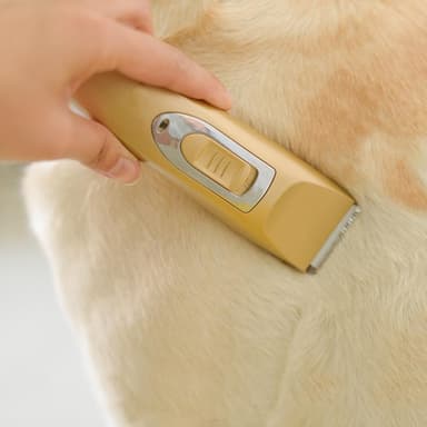 Hundtrimmer med tillbehör Guld