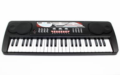 Bryce Music 49 tangent keyboard