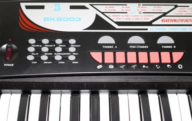 Bryce Music 49 tangent keyboard