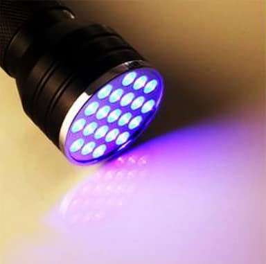 UV Ficklampa med 21 LED dioder