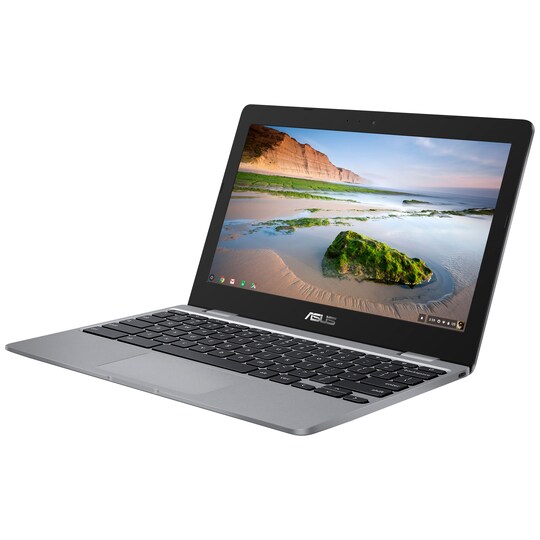 Asus Chromebook C223NA 11.6" bärbar dator (grå)