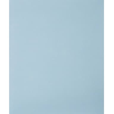 PFERD BP W 230x280 SiC 1000 45098039 Slippapper