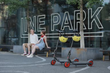 Ninebot by Segway KickScooter Zing C20