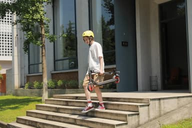 Ninebot by Segway KickScooter Zing C20