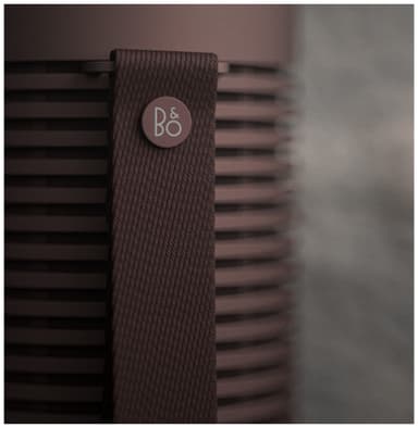 B&O Beosound Explore trådlös högtalare (chestnut)