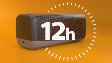 Philips S4807 trådlös portabel högtalare (svart)