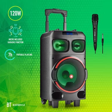 Partyspeaker Wilddub0 120W battery BT TWS mic-in