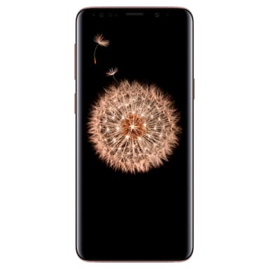 SAMSUNG SM-G960FZDDNEE Smartph