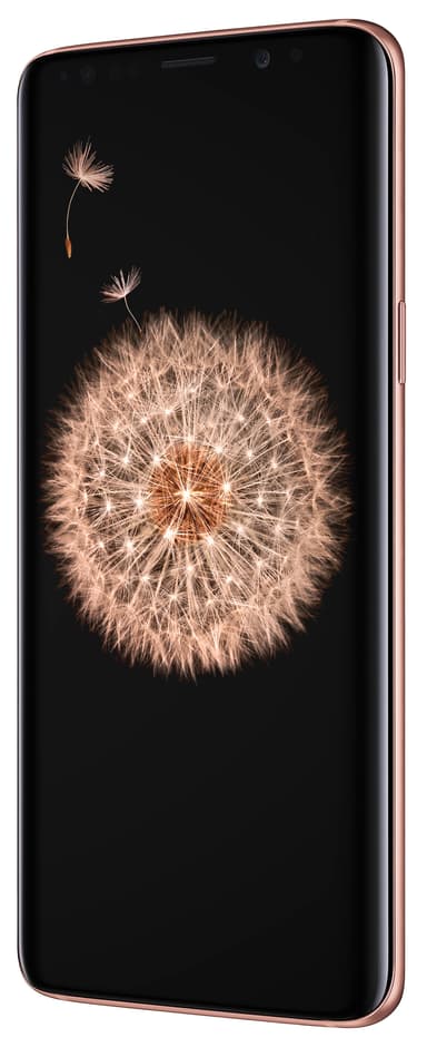 SAMSUNG SM-G960FZDDNEE Smartph