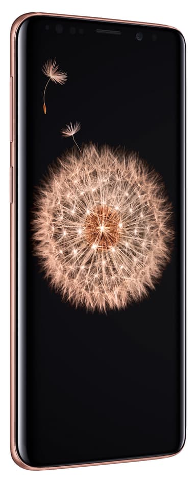 SAMSUNG SM-G960FZDDNEE Smartph
