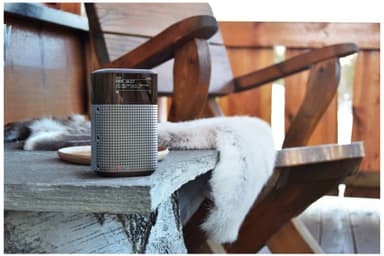 Pinell North bärbar DAB+/FM-radio (night black)