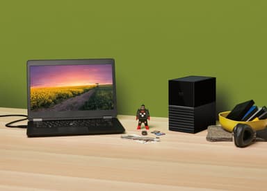 WD My Book Duo 12 TB stationär hårddisk