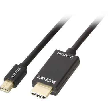 LINDY DisplayPort / HDMI Anslutningskabel 3.00 m 36928