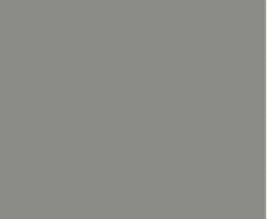 Cricut Infusible Ink transferark 2st (warm grey)