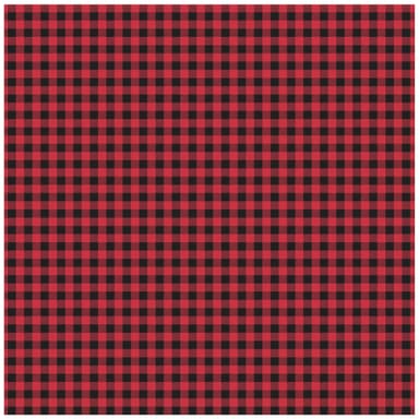 Cricut Infusible Ink överföringsark 2-pack (buffalo check)