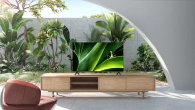 TCL 43" P830 4K LED Smart TV (2022)