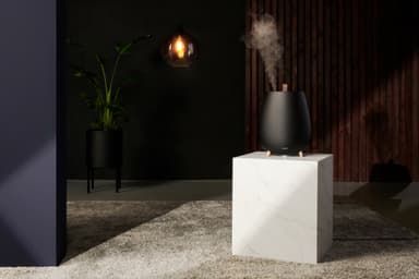 DUUX TAG 2 luftfuktare 25237 (svart)