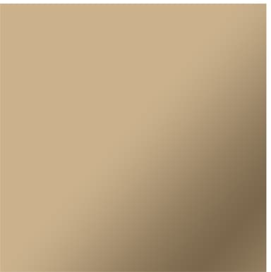 Cricut Everyday Iron-On ark 30x60cm (guld)