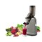 Witt by Kuvings slow juicer B6200S