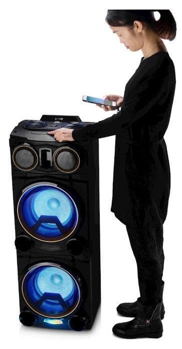 DMTECH PT-952 Monsterhögtalare med dubbla 10 tums basar!