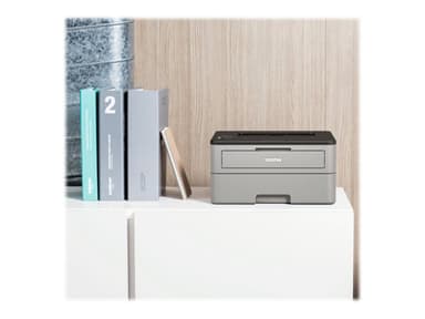 Brother HL-L2310D Laser