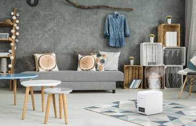 Varm ånga befuktare Boneco S250