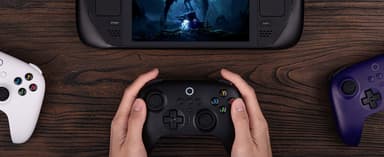 8BitDo Ultimate 2.4G Pad PC Hall Ed/Black