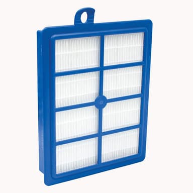 Ersättningsfilter Flerfärgad Electrolux EFSW1/E12