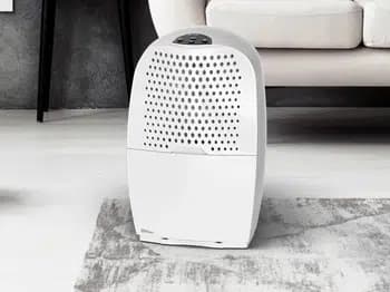 Ebac 4250 Avfuktare med Smart kontroll