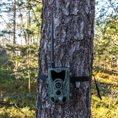 Åtelkamera Premium, sändande 2G - Trekker