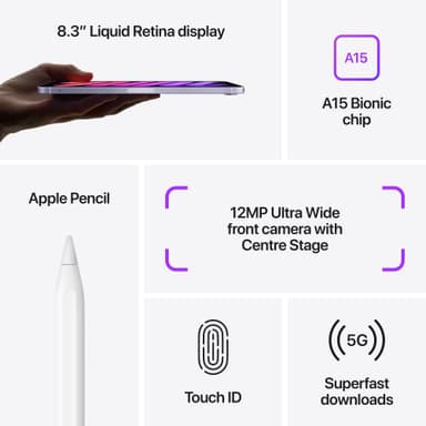 iPad mini (2021) 64 GB 5G (pink)