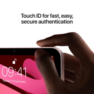 iPad mini (2021) 256 GB WiFi (pink)